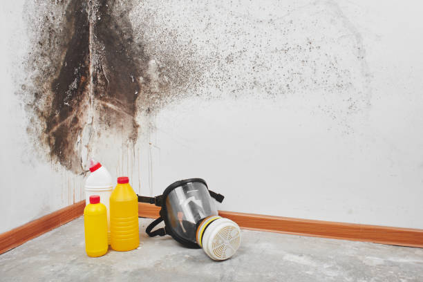 Best Industrial Mold Remediation in Mcloud, OK