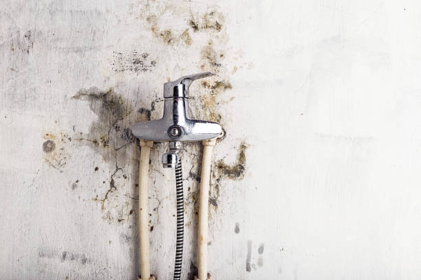 Best Bathroom Mold Remediation in Mcloud, OK