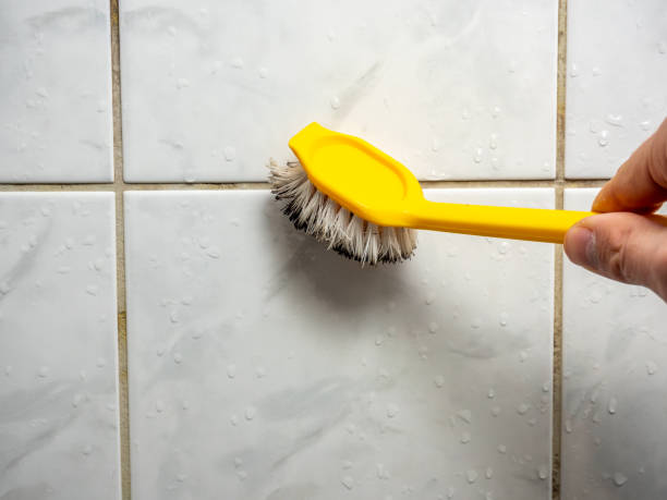 Best Mold Testing and Inspection Services in Mcloud, OK