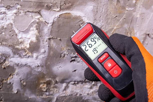Best Black Mold Remediation in Mcloud, OK