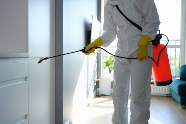 Best Attic Mold Remediation in Mcloud, OK
