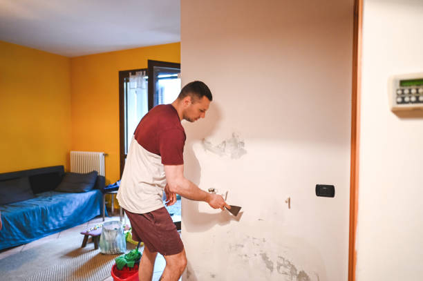 Best Emergency Mold Remediation in Mcloud, OK