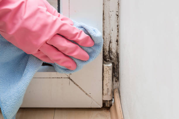  Mcloud, OK Mold Removal Pros